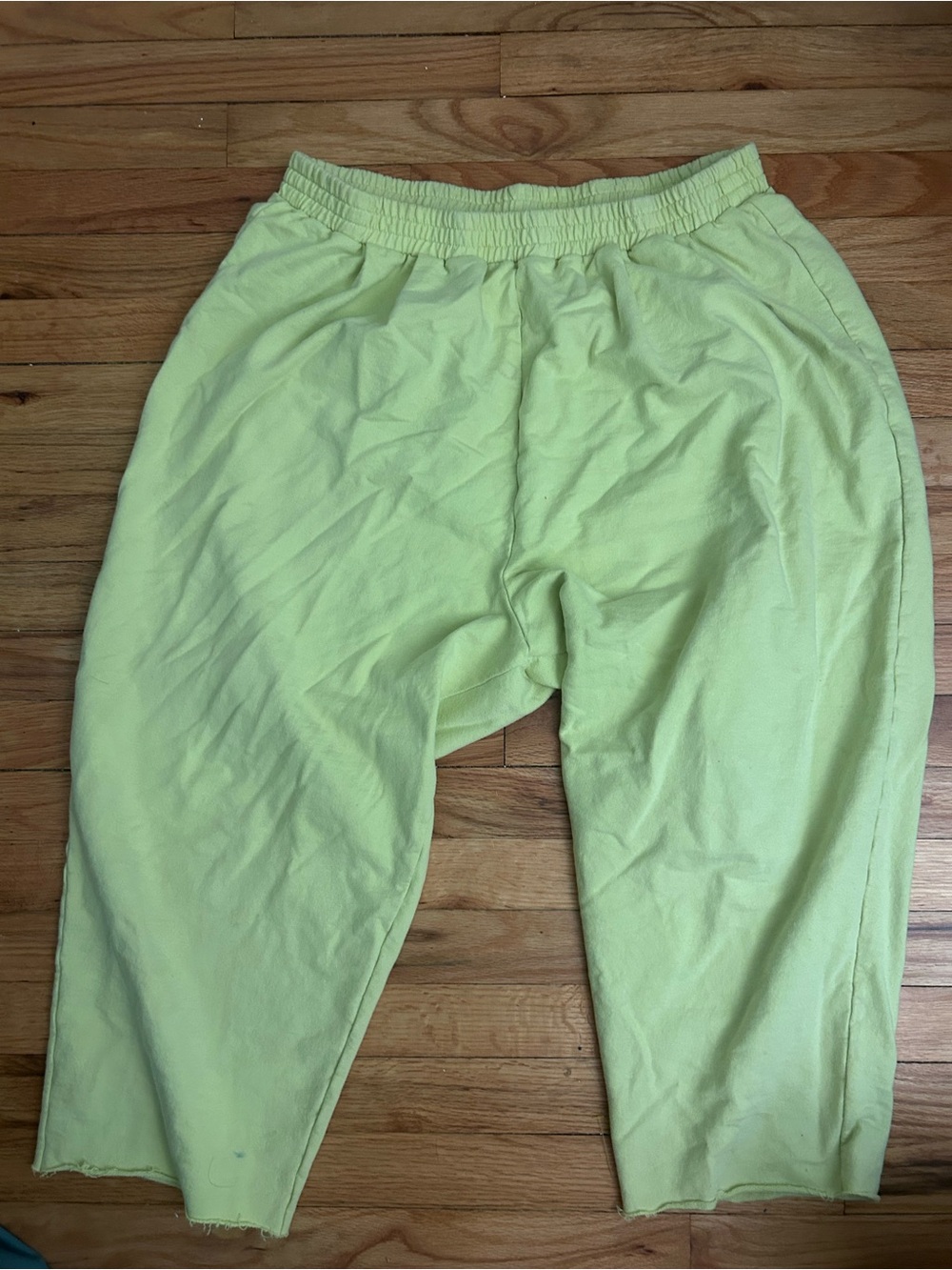 Ilana kohn Lime Green Pull-On sweats 1X